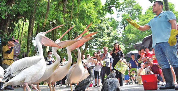 動(dòng)物園.jpg