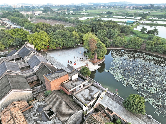 花都塱頭村.jpg